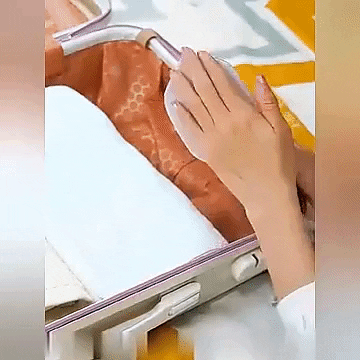 Mini Rotating Steam Iron